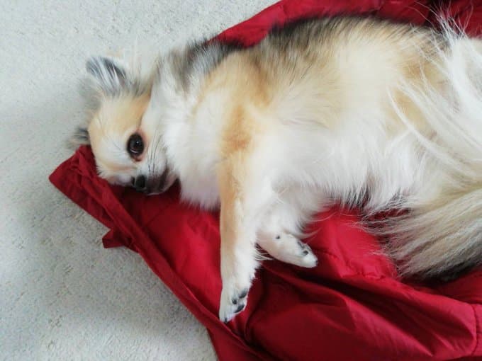 三木眞一郎がポエムを投稿！？