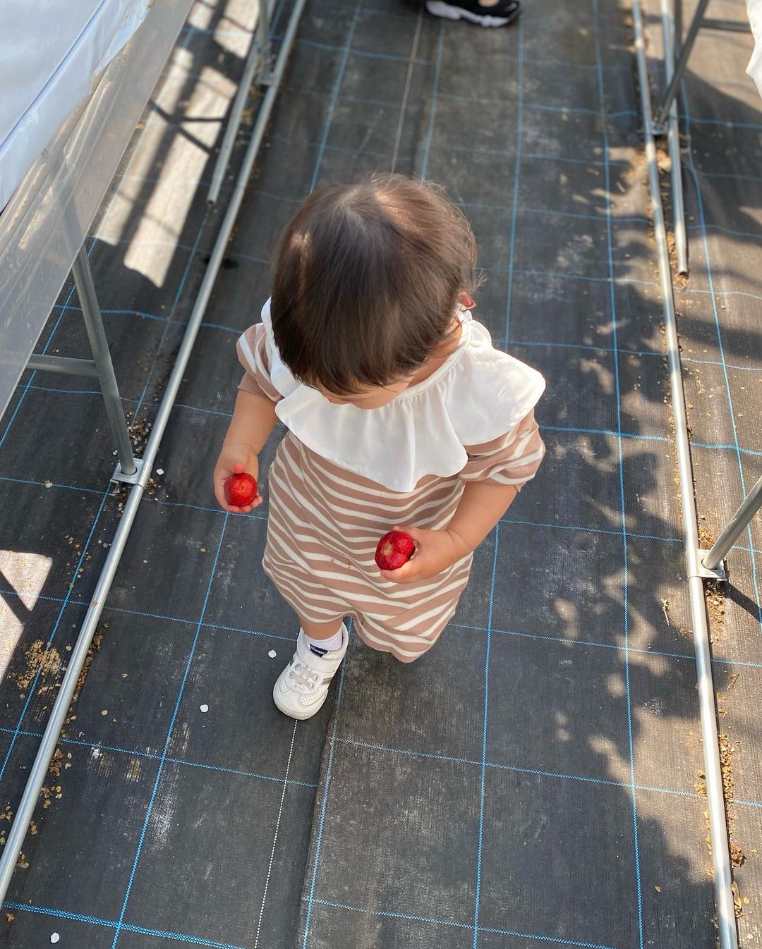 「常に両手持ち🤣」篠田麻里子さん、娘といちご狩り🍓💕