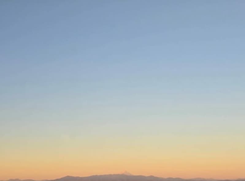 「見える見える!」土屋太鳳が公開した今年初の〇〇にファン大興奮！