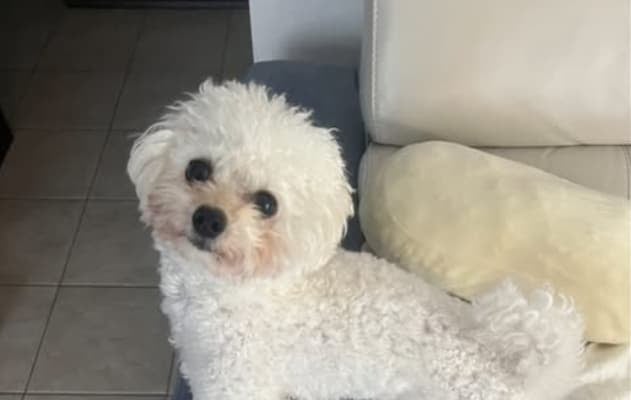 ロッテ・藤原恭大が25歳の誕生日を報告！