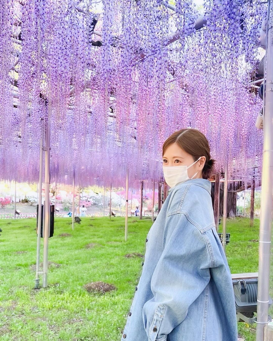 熱愛が話題の白石麻衣が藤の花との美しすぎるオフショット公開！