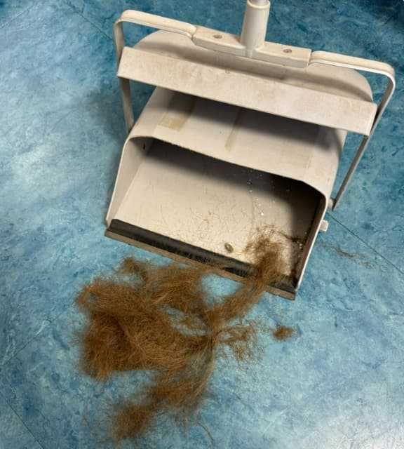 岩田剛典がバッサリ散髪を報告！お披露目おあずけも期待するファン続出