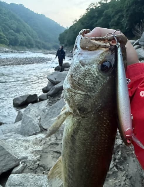 「バスフィッシングは簡単です。」ミキ亜生がバスフィッシングの楽しさを解説