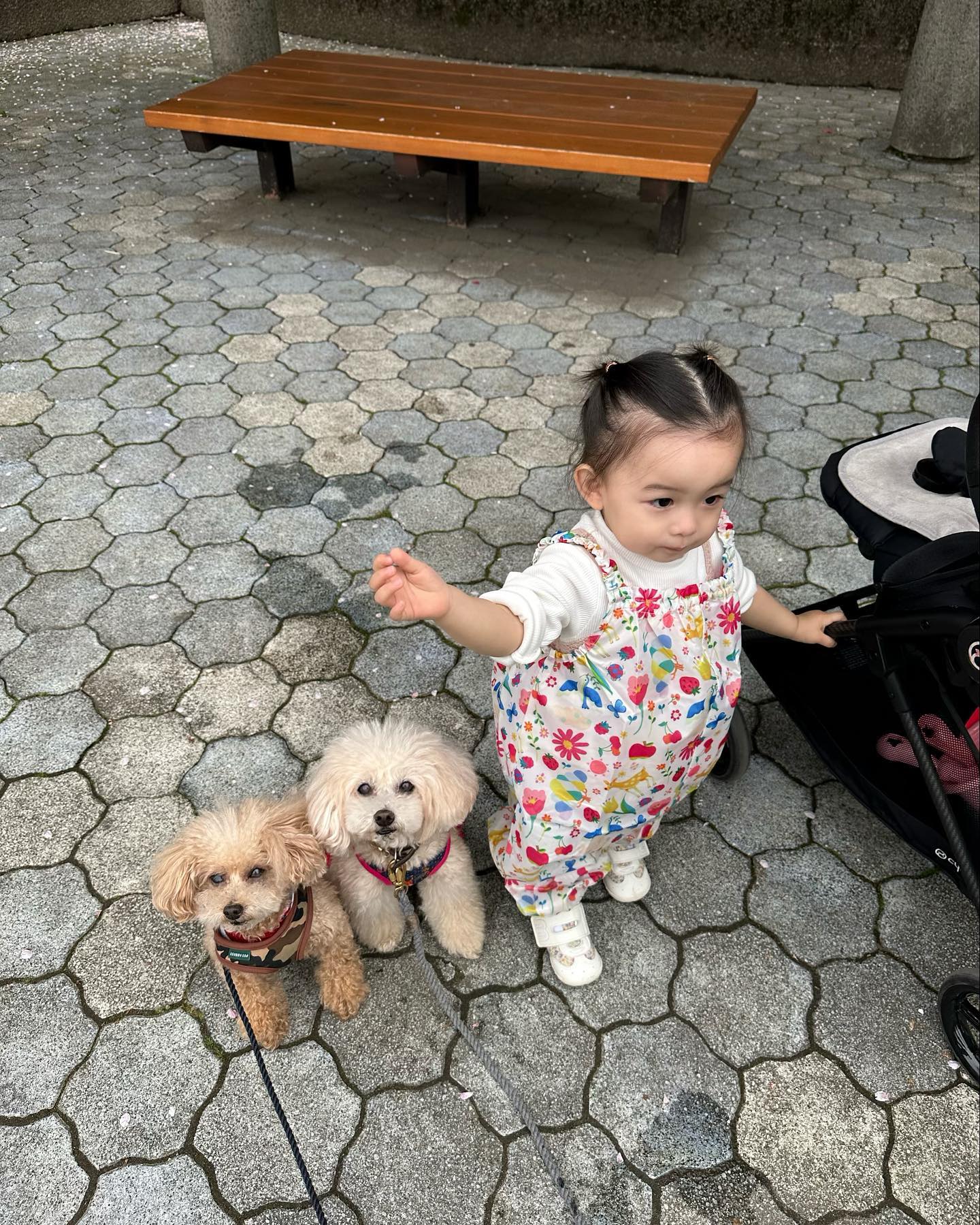 板野　似 板野友美が娘の顔出し最新ショット公開👨‍👩‍👧ともちんにそっくりと話題に「国民的可愛さ😍」 | 話題の投稿 | スポーツブル (スポブル)