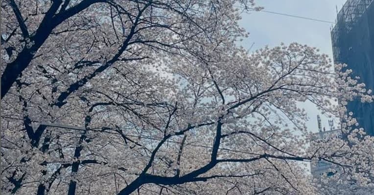 「これ以上働くの⁉」加藤夏希、決意がにじむ“春の節目ショット”が尊いと話題