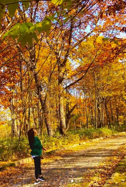 「趣味：散歩 特技：散歩 ストレス発散法：散歩」カーリング吉田知那美が紅葉の下で散歩