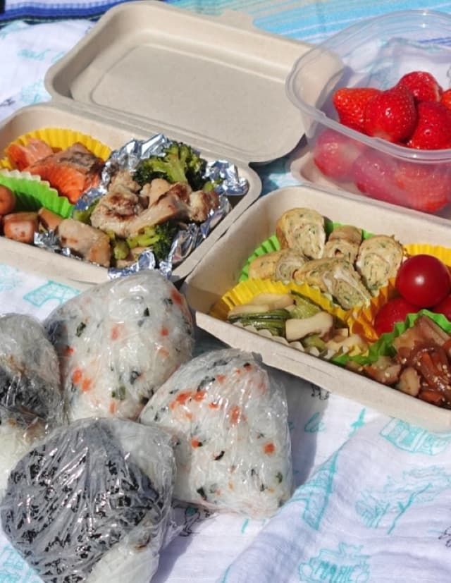 真野恵里菜がひたち海浜公園へ！手作り弁当を公開