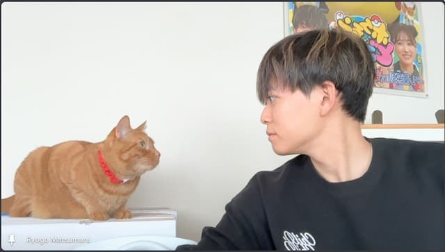 「必ず出席しにくる」松丸亮吾の愛猫リドが仕事ができると話題に