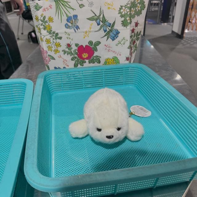 巫まろが北海道旅行を振り返る