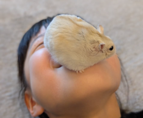 照英、愛ハムスター「つぶ」との癒しタイムを公開！