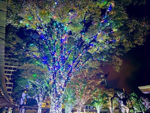 「輝ける人になるよ」”timelesz project”に参戦する俳優の投稿にファンからエールが殺到！