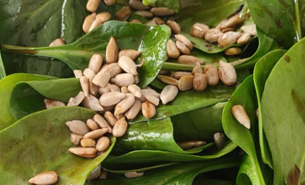 寂しさも味わいの一部　桃井かおりの“かおり飯”が静かに沁みる朝サラダ