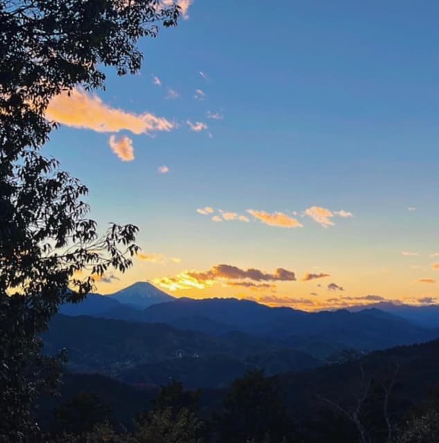 日本バレーボール代表の期待の新人、甲斐優斗が休日を満喫！