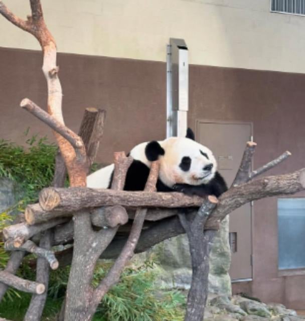 自転車ロードレース・唐見実世子「暴風雨でも満喫！」大人のスポーツ合宿、観光も全力で楽しむ！