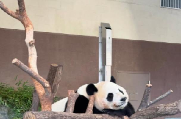 自転車ロードレース・唐見実世子「暴風雨でも満喫！」大人のスポーツ合宿、観光も全力で楽しむ！