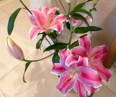 「これは百合？カサブランカ？」小川菜摘、咲き誇る花に癒されるファン続出