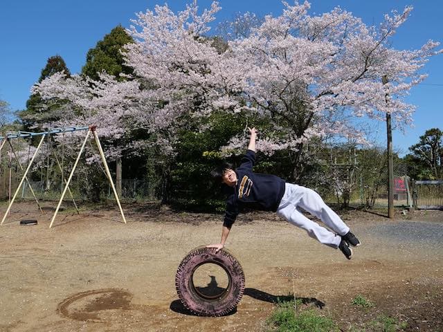 大人気Youtuber すしらーめん《りく》が新居(学校)の満開の桜を公開