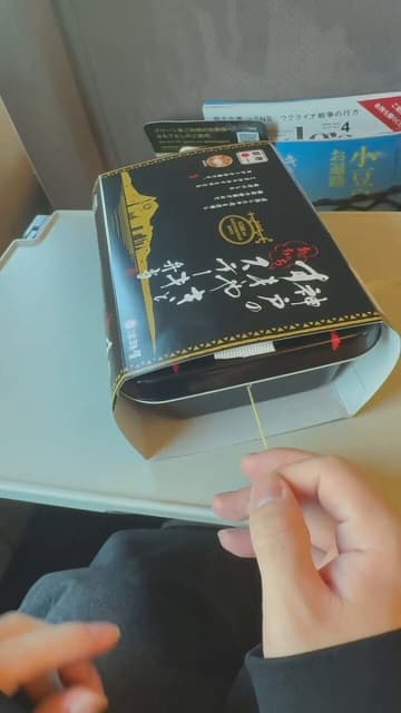 「走行中の窓から途中下車しようとしている」宮川大聖が新幹線での恥ずかし動画を公開