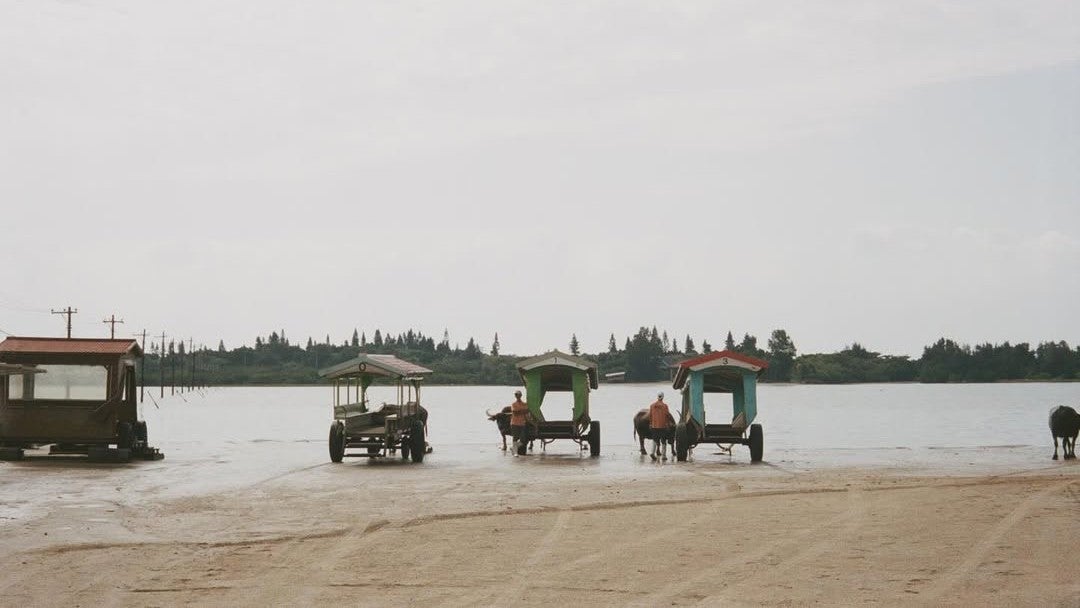沖縄の水牛ショットが癒しすぎる…元アイドルのフォトブック先行公開に注目集まる