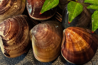 有吉弘行、「GWはHMG」謎ワードの正体とは？