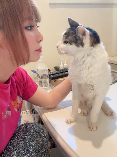 中川翔子、愛猫らいちゃんとの見つめ合いショットを公開「男前」と反響！