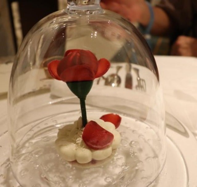 川崎希がファンタジースプリングスホテルを紹介！