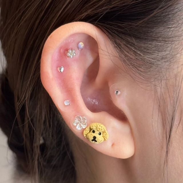 足立梨花、耳元できらめく癒しと遊び心。ハマり中の耳ツボジュエリーにトイプーの愛らしさが炸裂