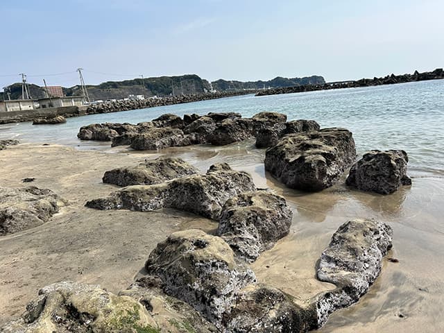 漫画家・奥嶋ひろまさ「海を見て物思いにふけたりしました」岩がごろつく波打ち際の写真を公開！