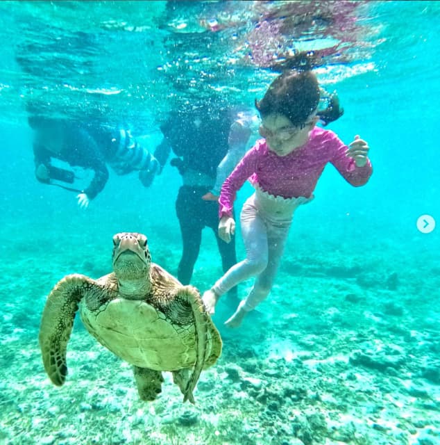 ののちゃんこと村方乃々佳「ウミガメと一緒に」