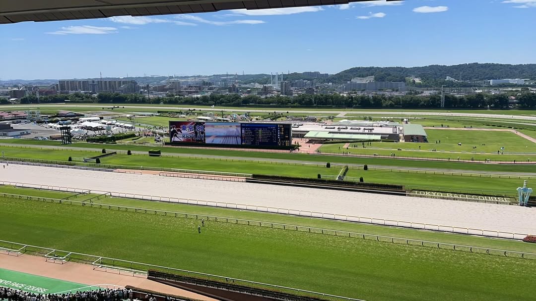 今年もアツい！「日曜サンデーの夏競馬」 —TBS篠原梨菜アナ、府中から熱戦をお届け