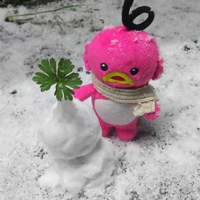 「ぼく、そっくりにできたんだシ」ABC公式キャラ・エビシーの雪遊びショットにファンほっこり