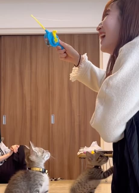パリ五輪メダリスト卓球 早田ひな　姉が保護した猫2匹とじゃれて遊ぶ