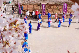 三重・松坂城跡で「宣長まつり」開催　桜満開の春に舞と賑わい