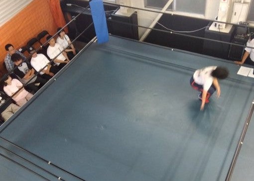 女子プロレスラー・渡辺智子が伊藤道場でのプロテストに言及　「泣けてきちゃう」と胸中つづる