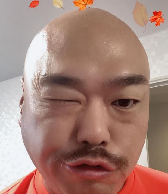 クロちゃん　おはおは！秋の風を感じて、落ち葉が舞う朝のひととき