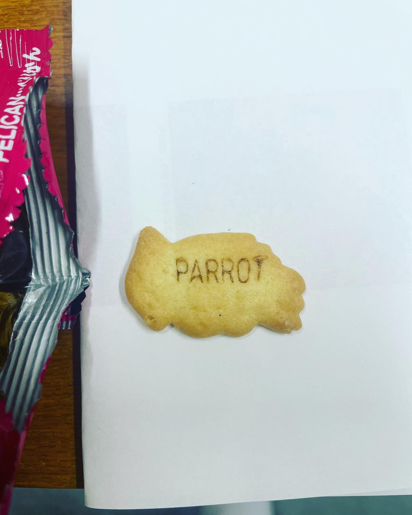「PARROT？」アンガ田中の難問クイズ💡