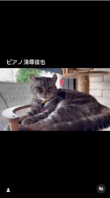 山田孝之と猫のためにピアノを弾いてくれる大物