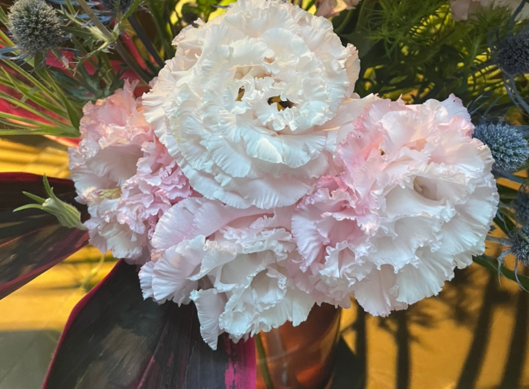 市川海老蔵さんが母の日に複雑な心境語る。「2人の事を思うと…」