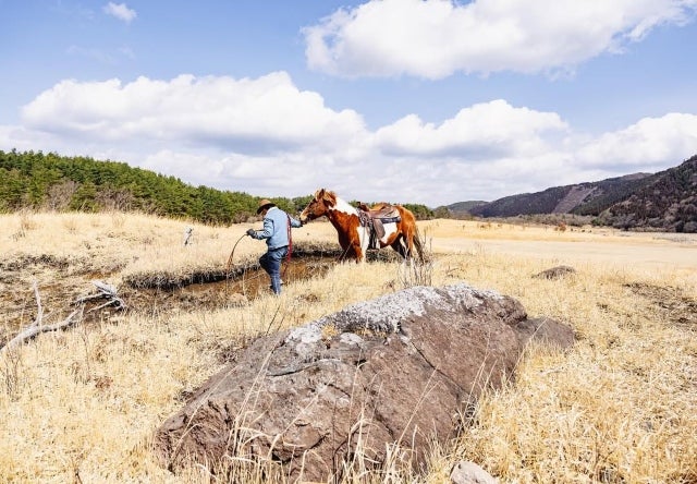 京本大我が見つめた“信頼を越えた絆”。人と馬が交わす静かな奇跡の瞬間