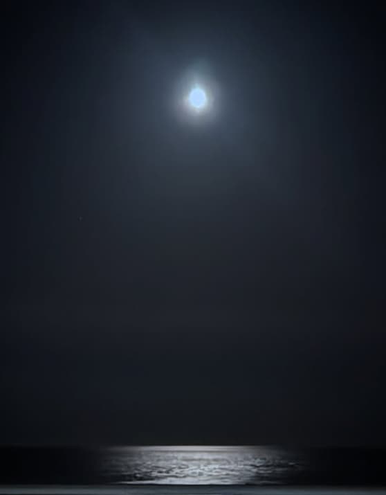 「疲れが吹き飛んだ…」瀬戸朝香、夜の海に映る月の光に癒された帰り道を公開