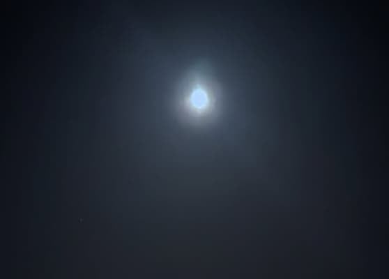 「疲れが吹き飛んだ…」瀬戸朝香、夜の海に映る月の光に癒された帰り道を公開