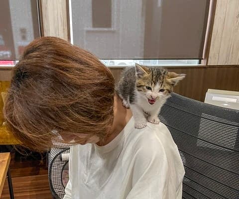 「ご褒美じゃないですか⁈」”猫のいる会社のデメリット”が羨ましいと話題に