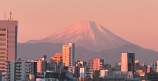 ファンから感動の声続々！！井浦新、夜明けの美しい日の出をシェア！