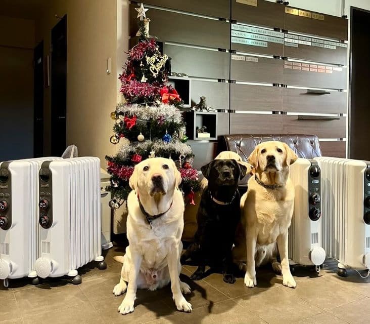 「素晴らしい活動」工藤静香、コンサートグッズの一部から寄付した先を報告しファンからは称賛の声！