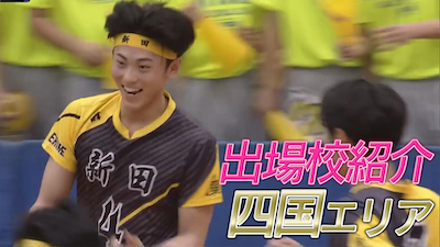 【春高バレー2026出場校紹介】四国地方男子代表の全4校を紹介