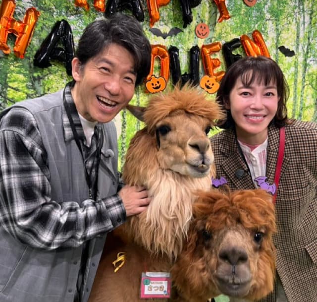 宮川一朗太、フジテレビ『「なりゆき街道旅』でアルパカに触れ「ホワホワだし、目が純粋無垢だし、は〜癒された〜」と大興奮！