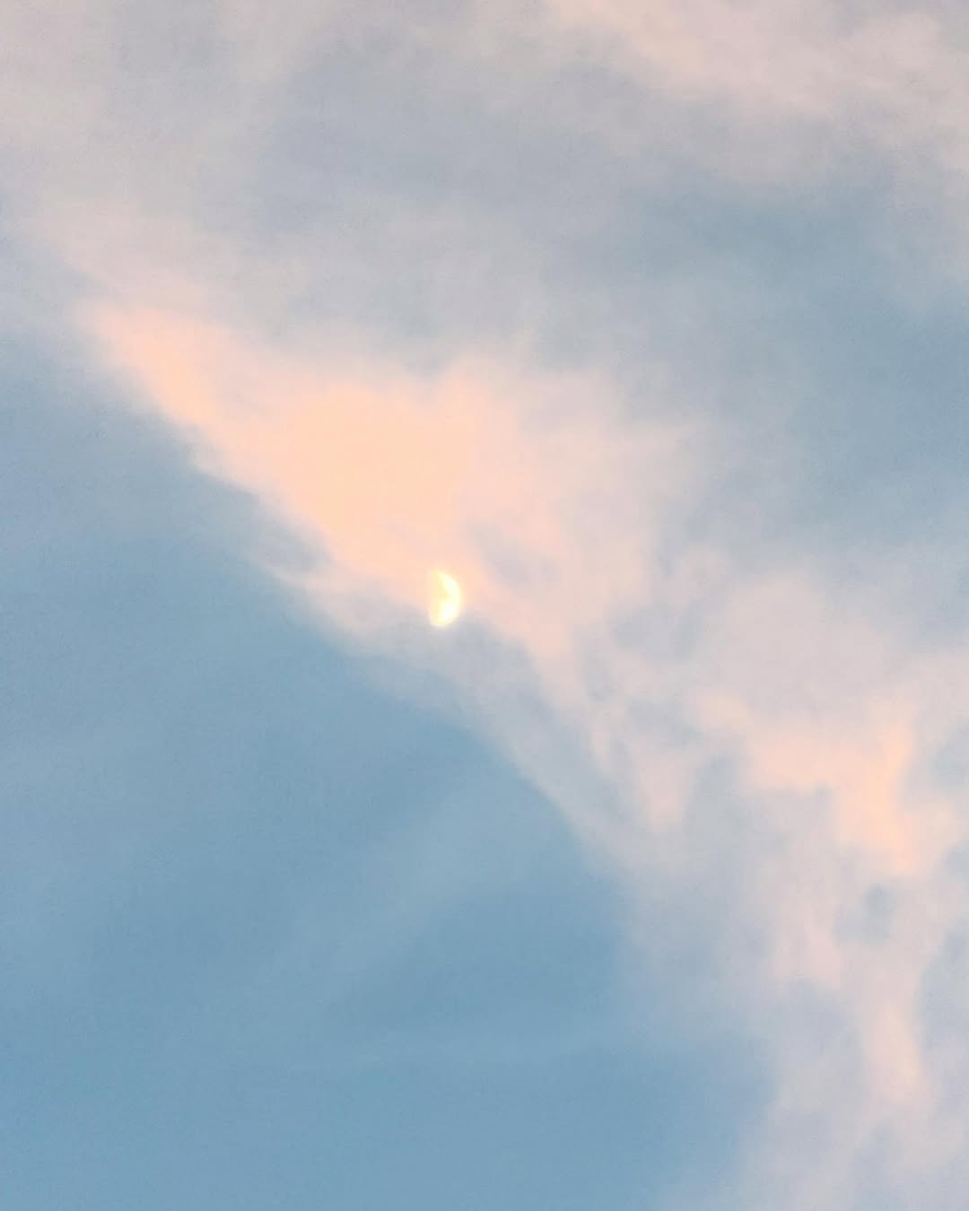 芹澤優、プライベート癒し時間に「素敵すぎる」とファンほっこり