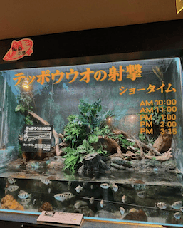 「みたかった」岡田将生ががっかりした理由とは