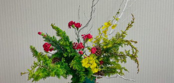 田原萌々アナ「いけばな」で魅せるクリスマスの彩り