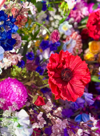 蜷川実花、「Made in 青森」インスタレーションで自然と歴史の交差点を描く